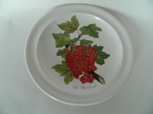 Pomona Portmeirion Plate 19 cm Redcurrant 