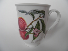 Pomona Portmeirion Mug Peach 