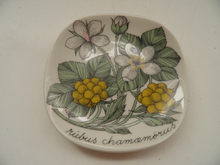 Cloudberry Wall Plate Arabia SOLD OUT