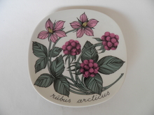 Rubus arcticus Wall Plate Esteri Tomula 