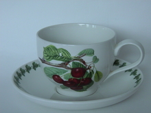 Pomona Portmeirion Breakfast Cup & Saucer SOLD OUT