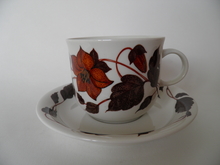 Tea for two Teacup and Saucer brown 