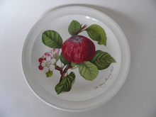 Pomona Portmeirion Plate 18,7 cm Apple SOLD OUT