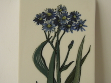 Seinälaatta sininen kukka