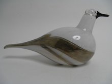 Stellers Eider Oiva Toikka 