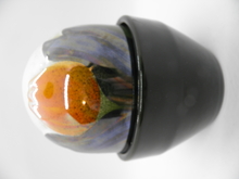 Ikikukka oranssi Tulppaani HLS MYYTY