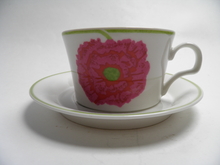 Illusia Tea Cup and Saucer red SOLD OUT