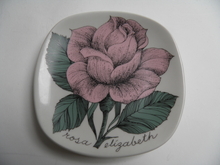 Rosa elizabeth Wall Plate SOLD OUT