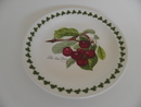 Pomona Portmeirion Side Plate dark Cherry SOLD OUT