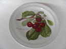 Pomona Portmeirion Deep Plate small dark Cherry SOLD OUT