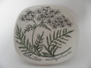 Yarrow Wall Plate Esteri Tomula SOLD OUT