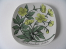 Meadow Buttercup Wallplate Esteri Tomula SOLD OUT